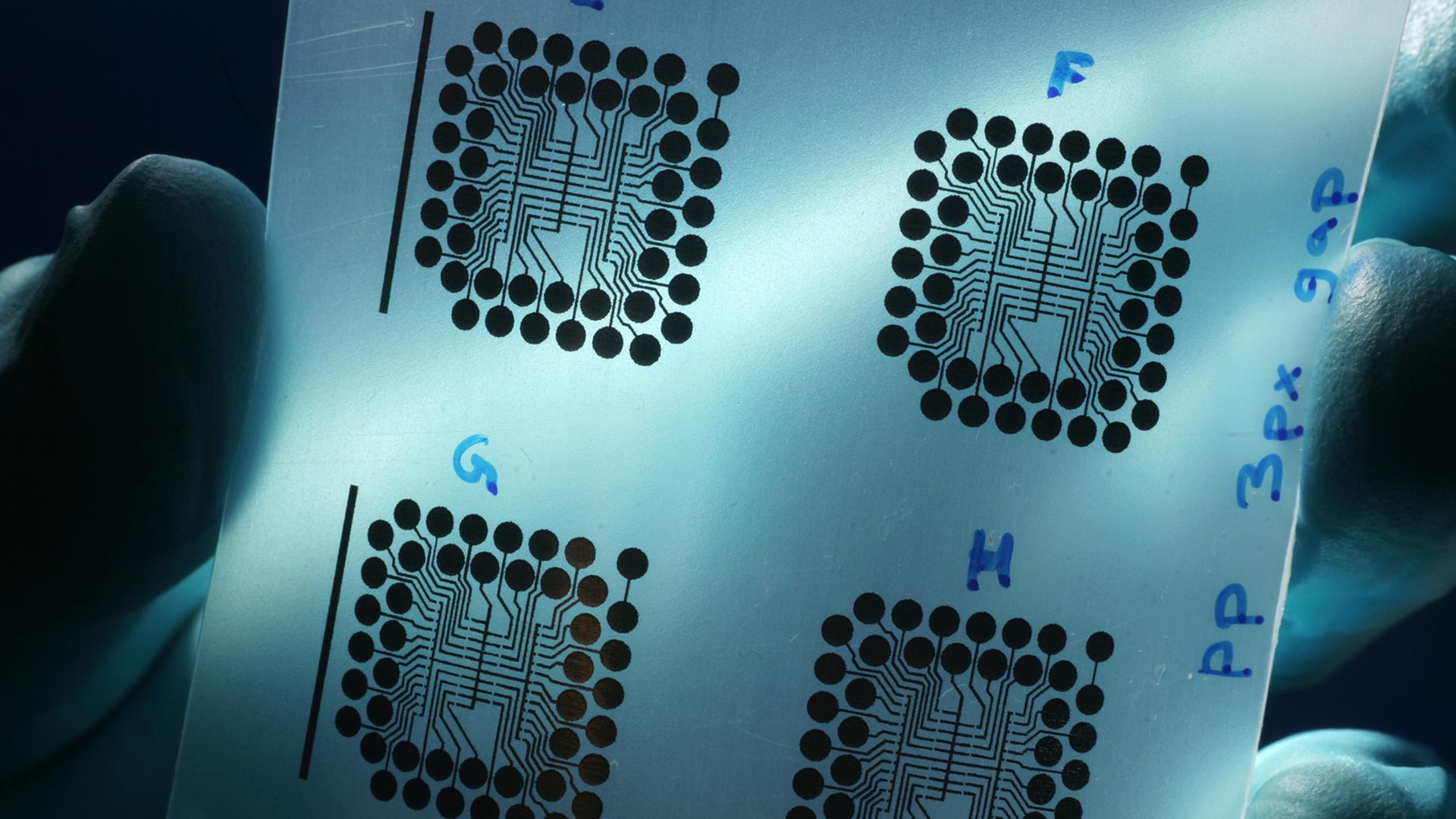 Nur etwa ein tausendstel Millimeter dick sind diese aus Silbernanopartiken bestehenden Strukturen auf einer Kunststofffolie, aufgenommen in einem Labor des Instituts für Organische Chemie und Makromolekulare Chemie der Universität Jena. Nur etwa ein tausendstel Millimeter dick sind diese aus Silbernanopartiken bestehenden Strukturen auf einer Kunststofffolie, aufgenommen in einem Labor des Instituts für Organische Chemie und Makromolekulare Chemie der Universität Jena.