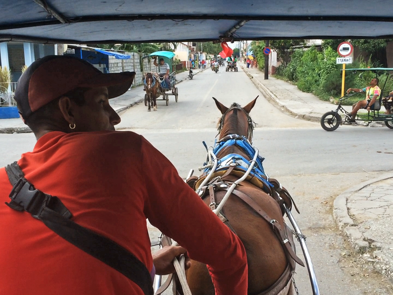 Lukrativer Selbständigen-Job: ein Kutscher aus Sancti Spiritus auf Kuba