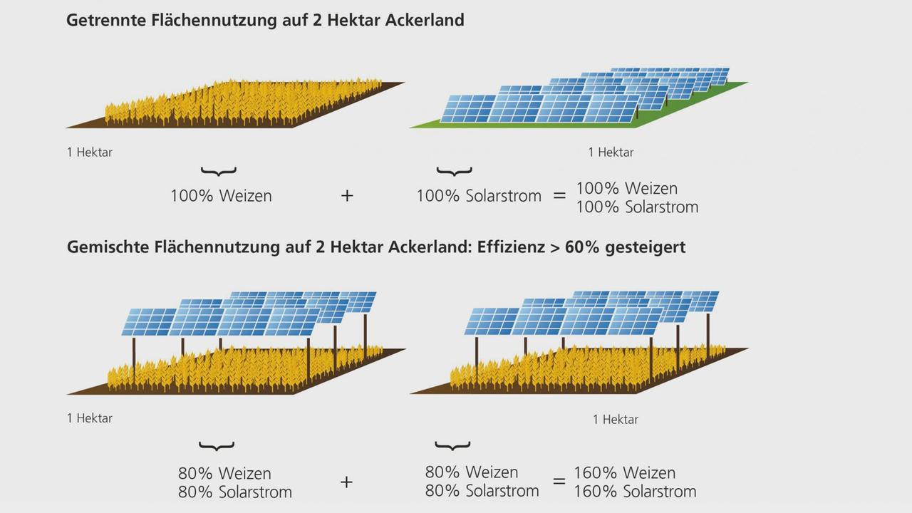 Grafik die die Flächennutzung mit und ohne Doppelnutzung zeigt. Grafik die die Flächennutzung mit und ohne Doppelnutzung zeigt.