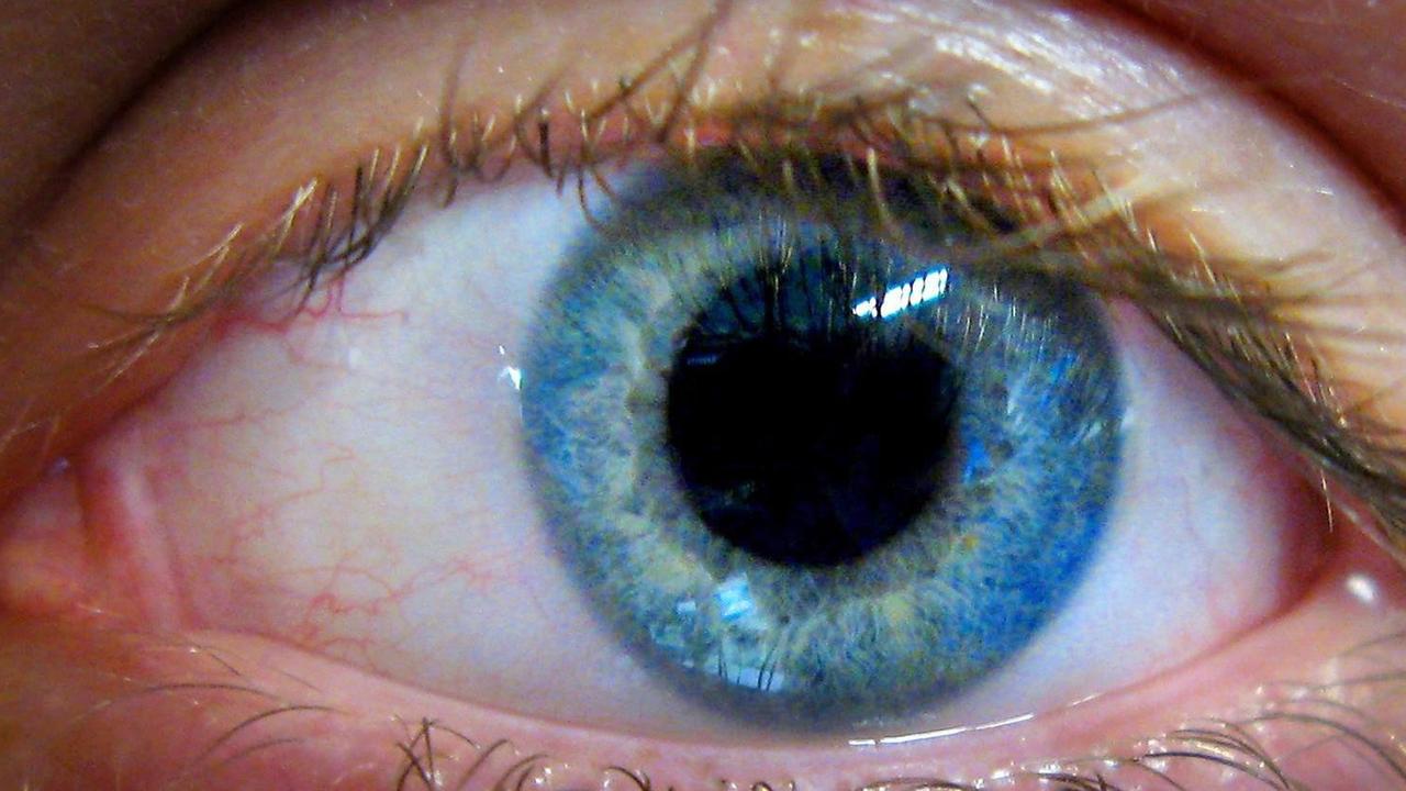 Ein menschliches Auge