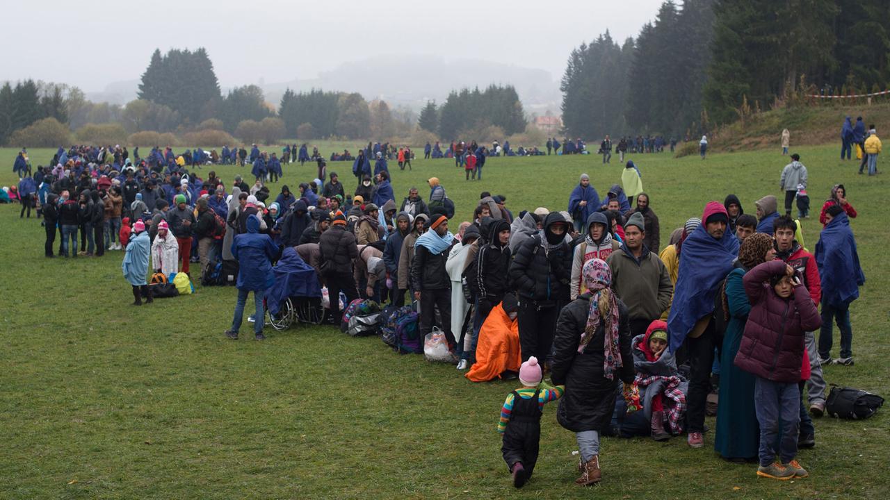 Flüchtlinge warten nahe Wegscheid (Bayern) an der deutsch-österreichischen Grenze. Flüchtlinge warten nahe Wegscheid (Bayern) an der deutsch-österreichischen Grenze.