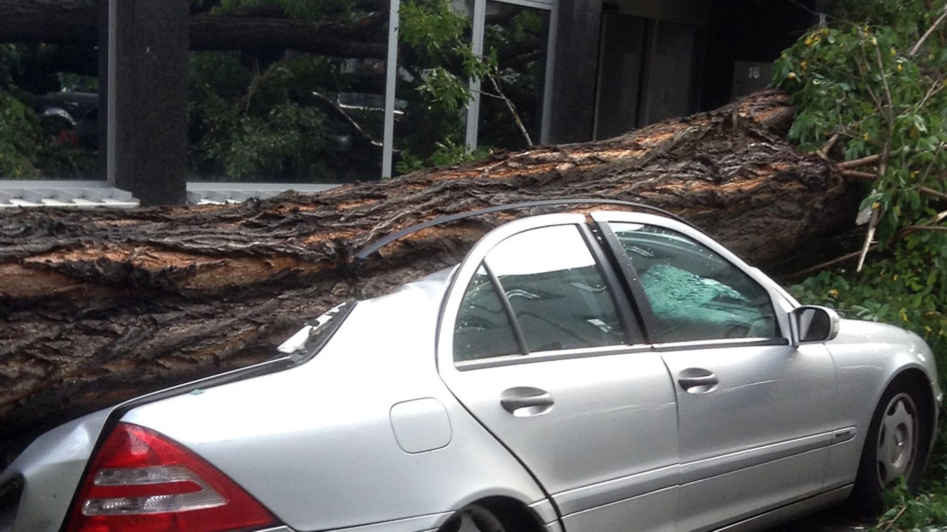 Ein Baum liegt am 10.06.2014 in Düsseldorf (Nordrhein-Westfalen) nach dem Sturm auf einem Auto.