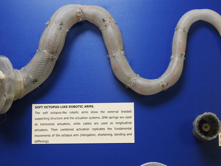 Zwei robotische Oktopusarme