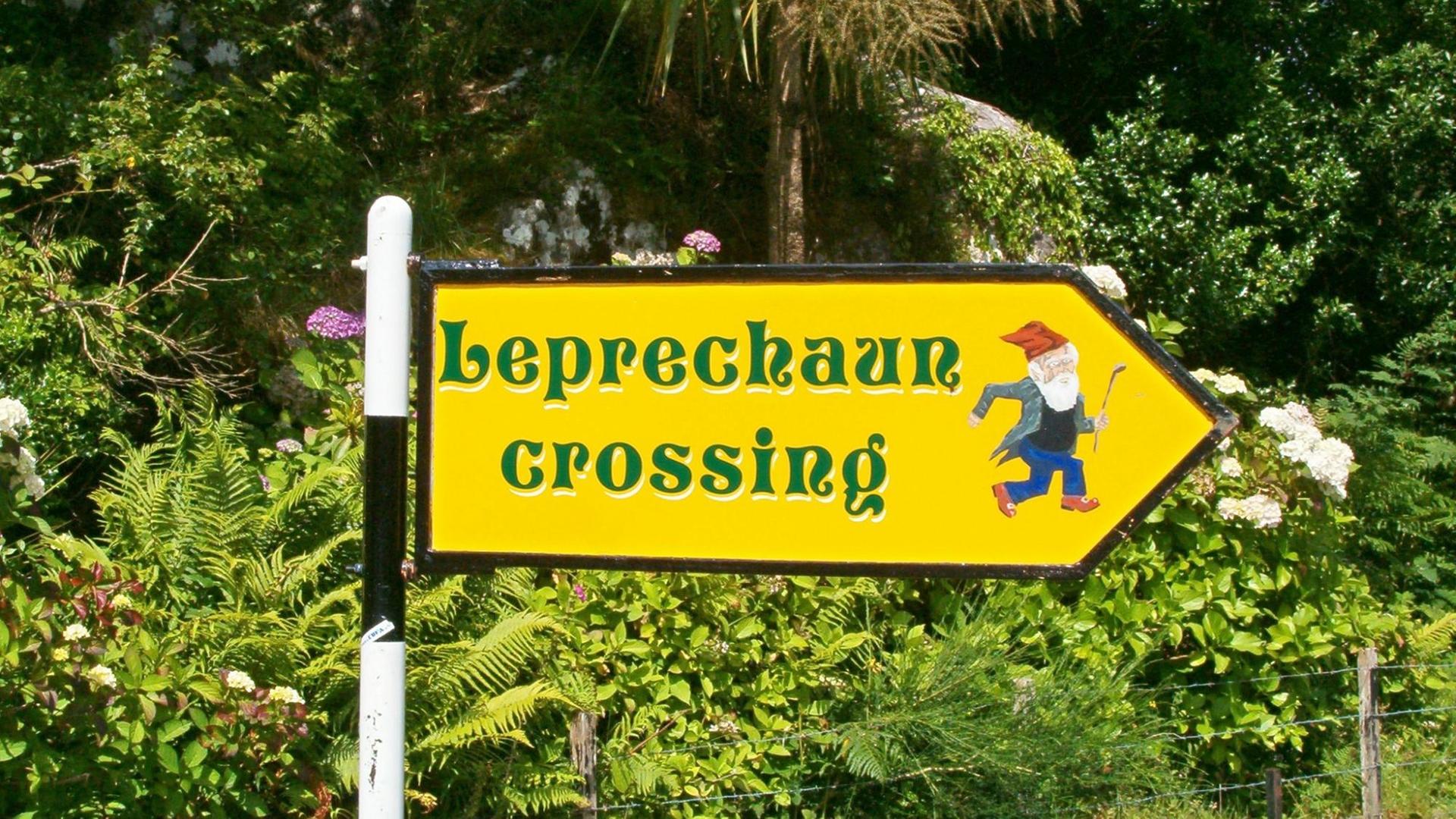 Ein Verkehrsschild in Kerry (Irland) weist auf den Weg der Leprechauns hin. Die kleinen trollartigen Wesen werden meist in grüner Kleidung und mit roten Haaren dargestellt. Sie sind circa 60 bis 90 cm groß. Das Wort Leprechaun ist eine Abwandlung des gälischen Begriffs für kleine Körper, daher nennt man sie auch little people (kleines Volk). Leprechauns besitzen immer Gold, das sie vollständig zusammen halten wollen. Es gibt viele Vermutungen darüber, wo sie das Gold her haben und wo es versteckt wird. Einer Legende nach soll sich ihr Schatz am Ende (oder Anfang) des Regenbogens befinden Im Wörterbuch speichern Keine Wortliste für Albanisch -> Deutsch... Eine neue Wortliste erstellen... Kopieren Im Wörterbuch speichern Keine Wortliste für Englisch -> Deutsch... Eine neue Wortliste erstellen... Kopieren Ein Verkehrsschild in Kerry (Irland) weist auf den Weg der Leprechauns hin. Die kleinen trollartigen Wesen werden meist in grüner Kleidung und mit roten Haaren dargestellt. Sie sind circa 60 bis 90 cm groß. Das Wort Leprechaun ist eine Abwandlung des gälischen Begriffs für kleine Körper, daher nennt man sie auch little people (kleines Volk). Leprechauns besitzen immer Gold, das sie vollständig zusammen halten wollen. Es gibt viele Vermutungen darüber, wo sie das Gold her haben und wo es versteckt wird. Einer Legende nach soll sich ihr Schatz am Ende (oder Anfang) des Regenbogens befinden Im Wörterbuch speichern Keine Wortliste für Albanisch -> Deutsch... Eine neue Wortliste erstellen... Kopieren Im Wörterbuch speichern Keine Wortliste für Englisch -> Deutsch... Eine neue Wortliste erstellen... Kopieren