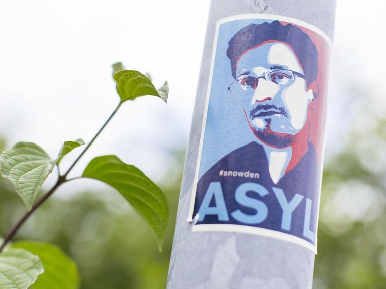 Das Foto zeigt eine Kölner Laterne, aber der ein Aufkleber klebt, der das Konterfei von Edward Snowden mit der Forderung nach Asyl für den Whistleblower zeigt.