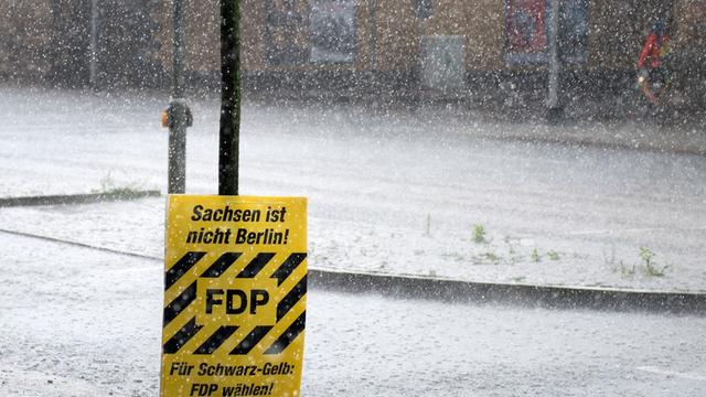 Ein Wahlplakat der FDP mit der Aufschrift "Sachsen ist nicht Berlin! Für Schwarz-Gelb: FDP wählen!" ist am 07.08.2014 in starkem Regen an einem Baum in Dresden (Sachsen) zu sehen.