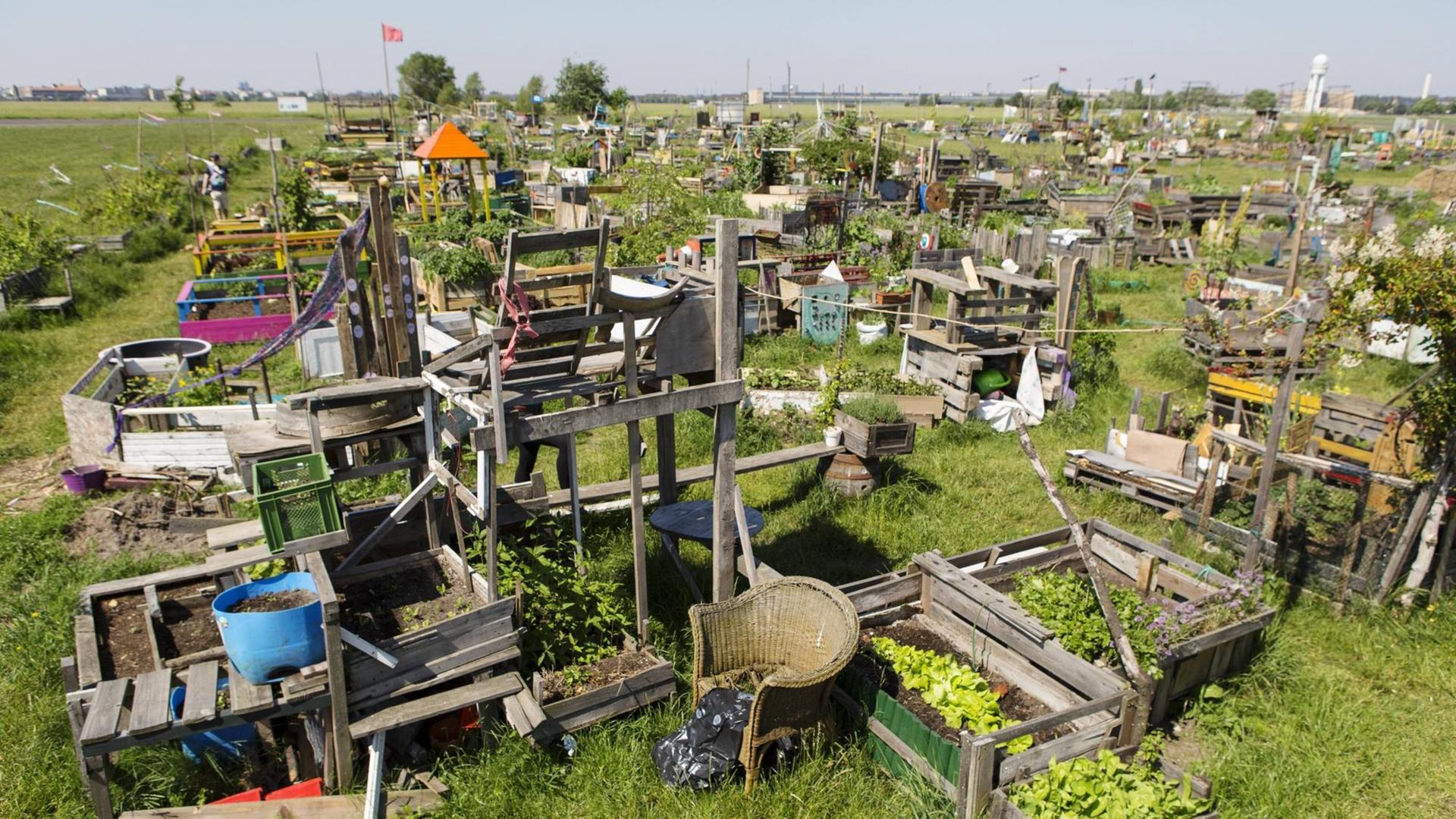 Blick auf den urbanen Garten "Stadtteilgarten Schillerkiez" auf dem als Tempelhofer Freiheit bezeichneten ehemaligen Flughafen Tempelhof in Berlin. Blick auf den urbanen Garten "Stadtteilgarten Schillerkiez" auf dem als Tempelhofer Freiheit bezeichneten ehemaligen Flughafen Tempelhof in Berlin.