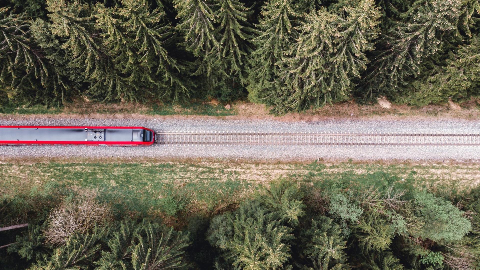 Aufsicht auf eine Eisenbahn, die durch einen Wald fährt. Aufsicht auf eine Eisenbahn, die durch einen Wald fährt.