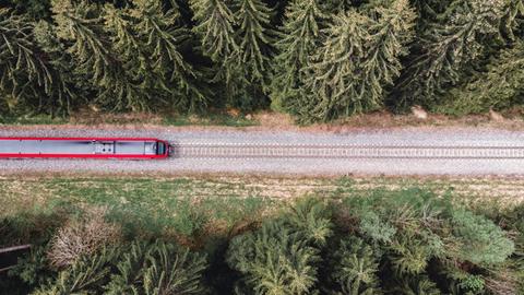 Aufsicht auf eine Eisenbahn, die durch einen Wald fährt.