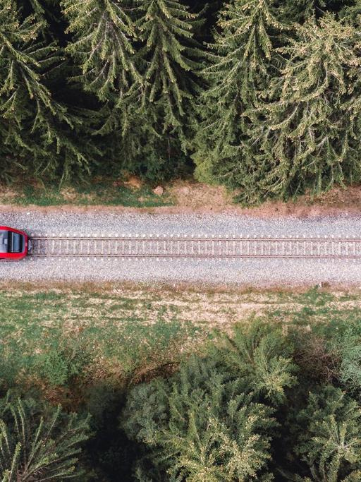 Aufsicht auf eine Eisenbahn, die durch einen Wald fährt.