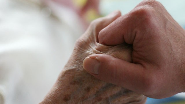 Eine junge Hand hält eine alte Hand Eine junge Hand hält eine alte Hand