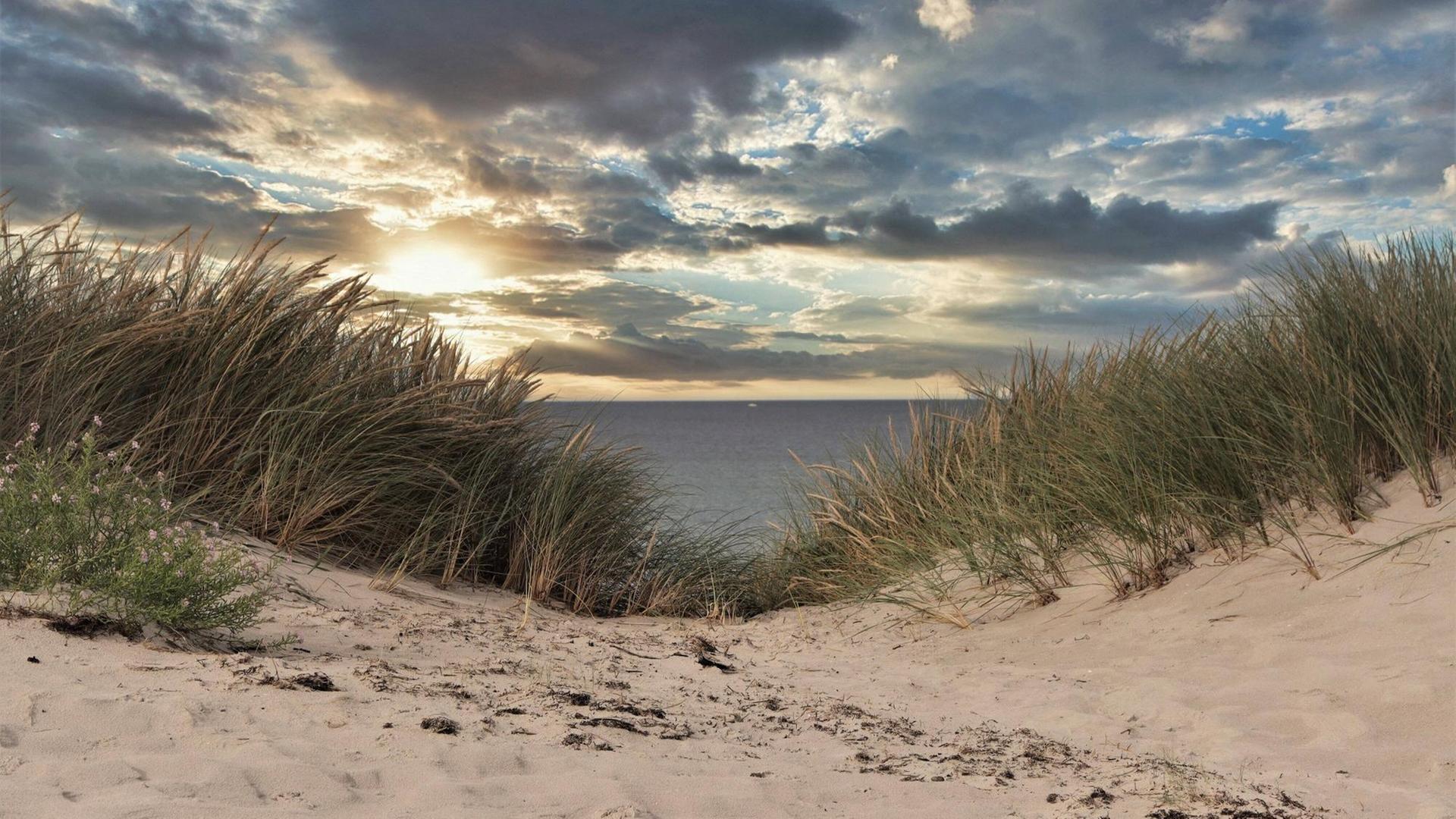 Strand mit Blick aufs Wasser Strand mit Blick aufs Wasser