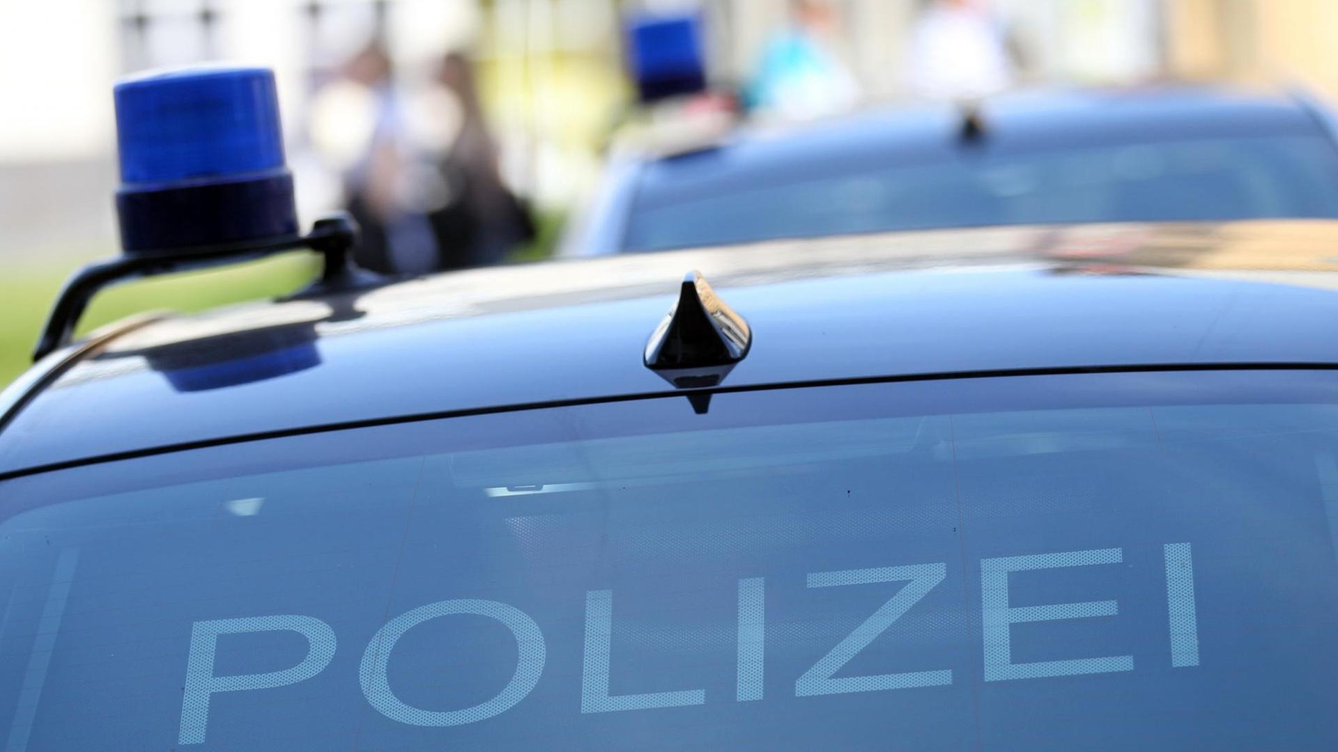 Zwei BMW der 7er-Reihe mit Blaulicht und Polizei-Schriftzug in der Heckscheibe.