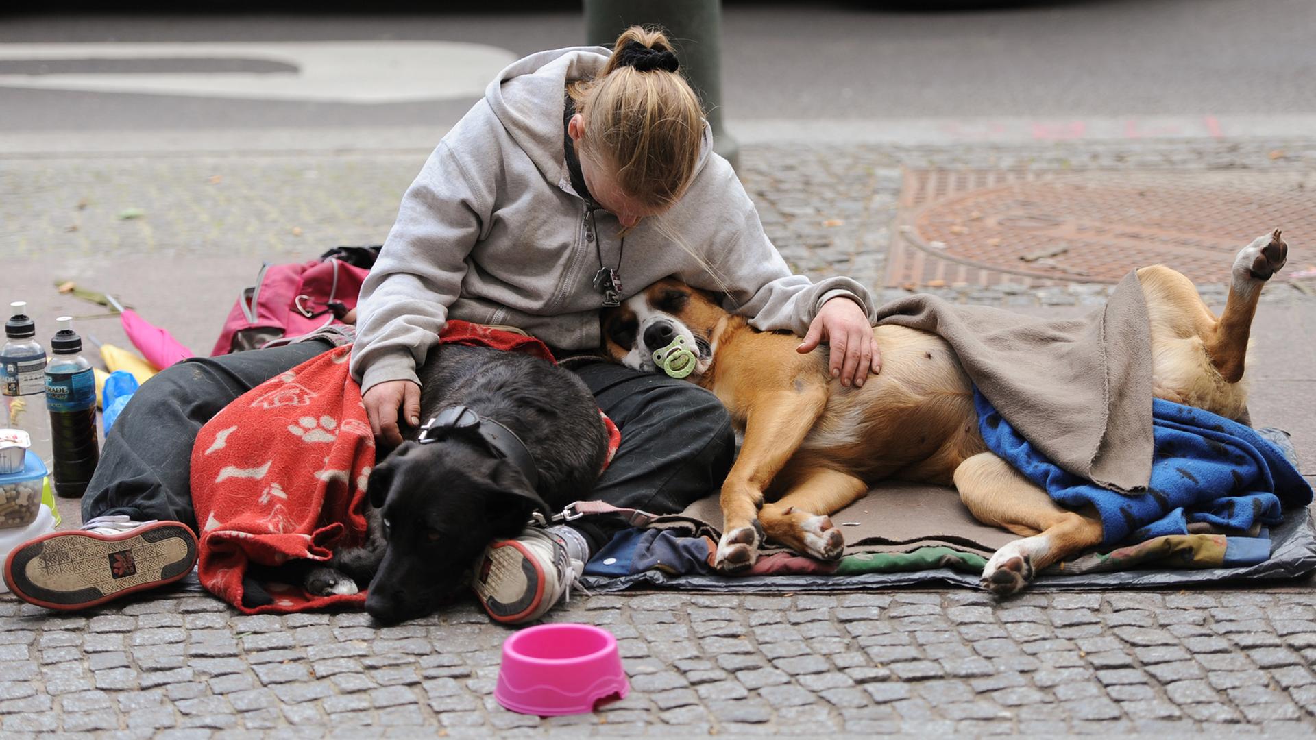 Eine Frau sitzt mit ihren zwei Hunden am Straßenrand. Eine Frau sitzt mit ihren zwei Hunden am Straßenrand.