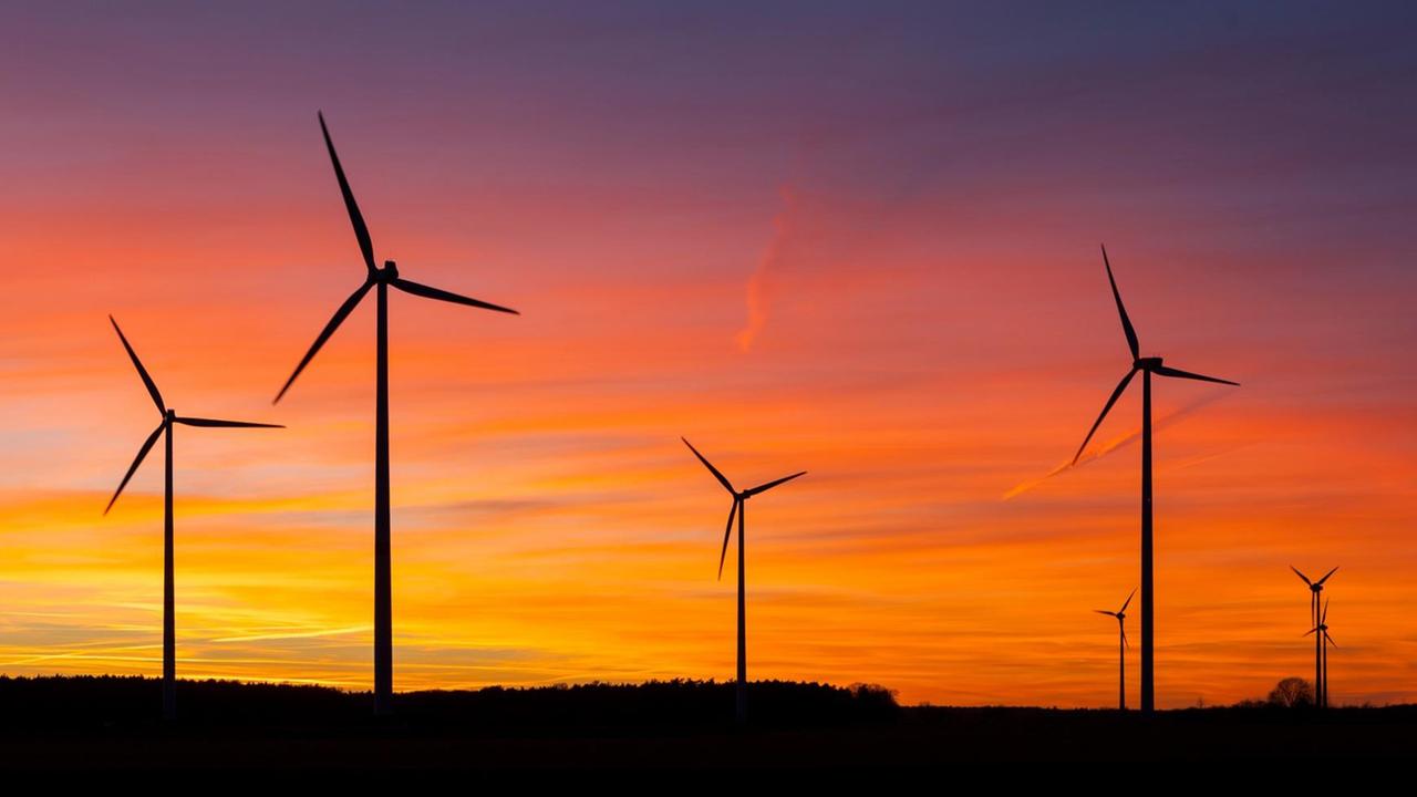 Das Foto zeigt Windräder auf einem Feld bei Wormlage in der brandenburgischen Lausitz. Das Foto zeigt Windräder auf einem Feld bei Wormlage in der brandenburgischen Lausitz.