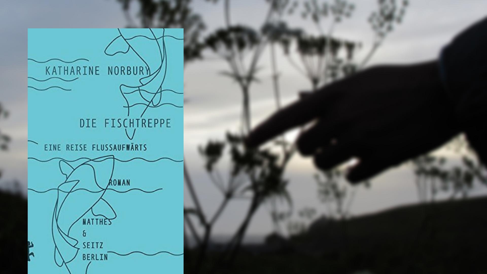 "Die Fischtreppe. Eine Reise stromaufwärts" "Die Fischtreppe. Eine Reise stromaufwärts"