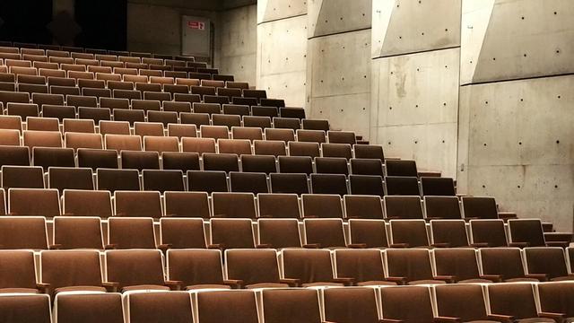 Leere Sitzreihen in einem Theater: braun gepolsterte Stühle vor hellgrauer Wand