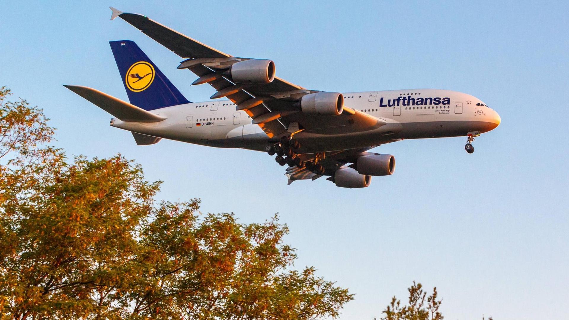 Ein Airbus A380 der Lufthansa Ein Airbus A380 der Lufthansa