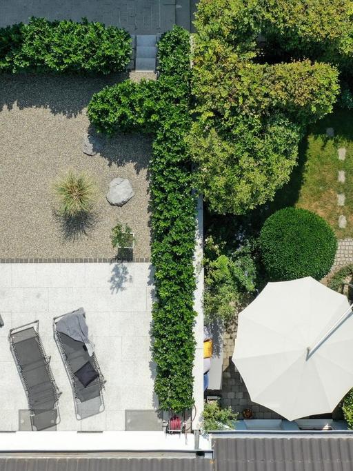 Ein klar strukturierter Steingarten mit wuchtigem Baum und Kirschlorbeerhecke grenzt in einer Reihenhaussiedlung an einen gepflegte grünen Garten mit hoher Hecke, mehreren Bäumen und Essplatz. Der Steingarten ist unterteilt in einen Bereich mit Kiesel und eine Terrasse mit hellem Granit.
