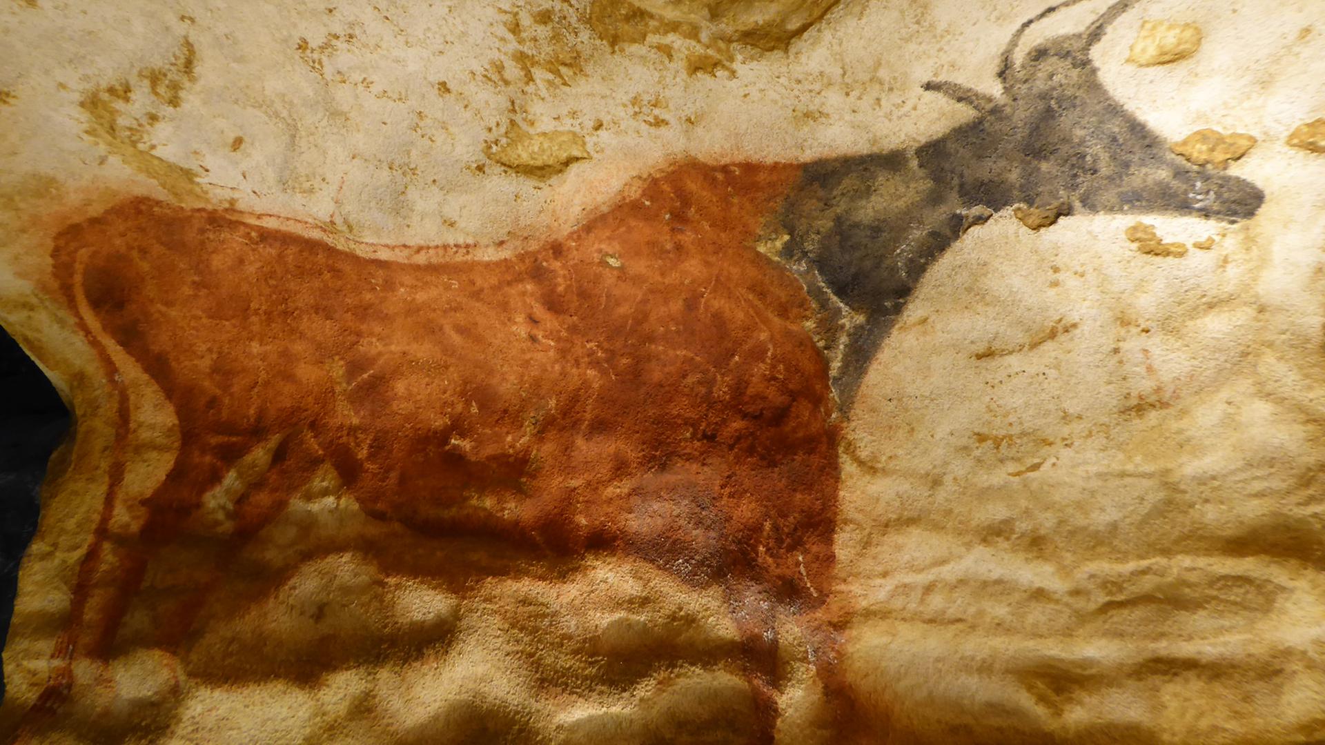 Höhlenmalereien in Lascaux - Das kopierte Wunder