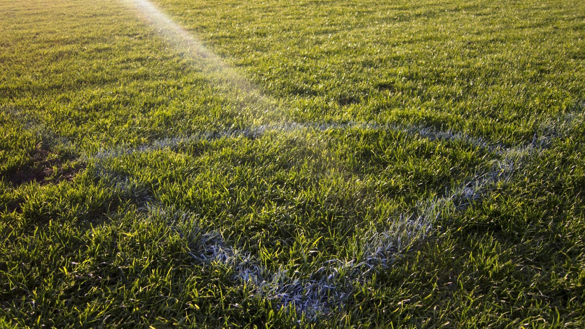 Ecke eines Fußballplatzes Ecke eines Fußballplatzes