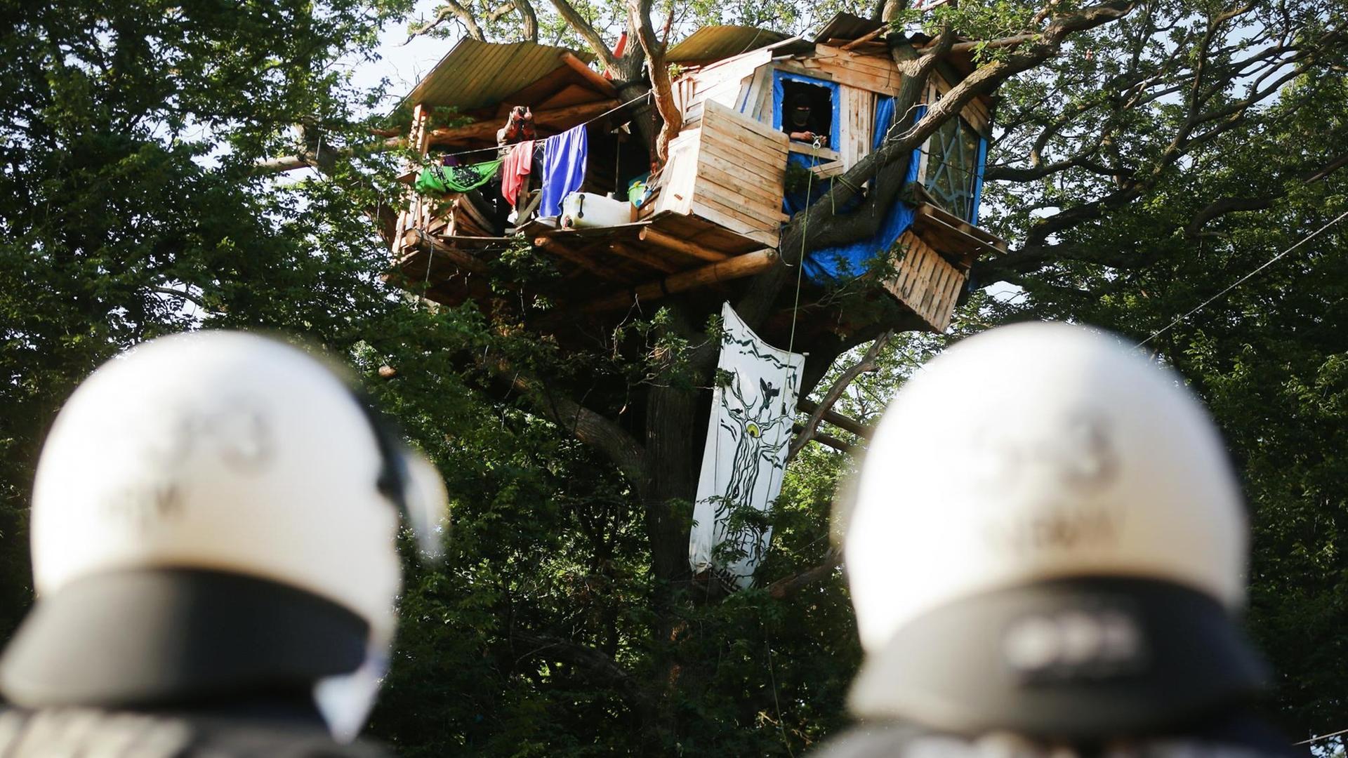 Polizisten stehen im Hambacher Forst am Fuße eines Baumes, in dem Klima-Aktivisten ein Baumhaus gebaut haben, 2020. Polizisten stehen im Hambacher Forst am Fuße eines Baumes, in dem Klima-Aktivisten ein Baumhaus gebaut haben, 2020.