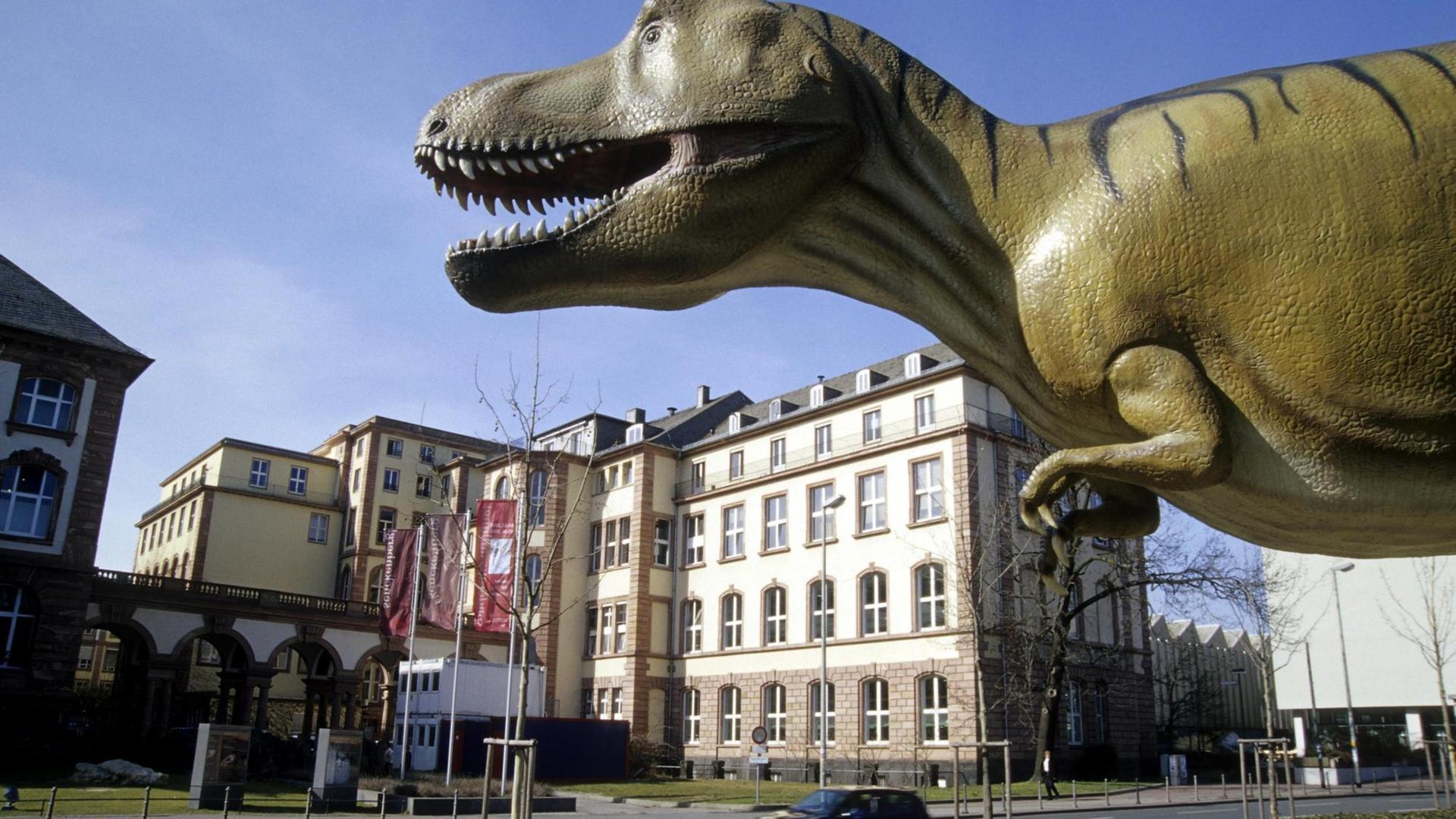 Dinosaurier am Naturmuseum, Senckenberg Museum, Frankfurt am Main, Hessen, Dinosaurier am Naturmuseum, Senckenberg Museum, Frankfurt am Main, Hessen,