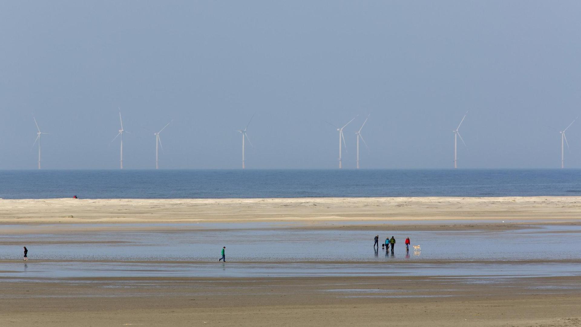 Offshore Windanlage Riffgat des Betreibers EWE vor Borkum. Offshore Windanlage Riffgat des Betreibers EWE vor Borkum.