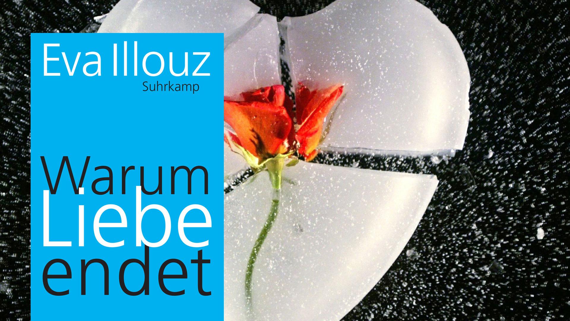 Cover von Eva Illouz Buch "Warum Liebe endet". Im Hintergrund ist ein zerbrochenes Herz mit Rose. Cover von Eva Illouz Buch "Warum Liebe endet". Im Hintergrund ist ein zerbrochenes Herz mit Rose.