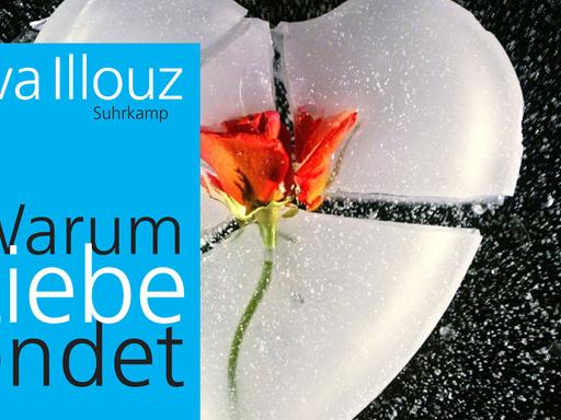 Cover von Eva Illouz Buch "Warum Liebe endet". Im Hintergrund ist ein zerbrochenes Herz mit Rose.