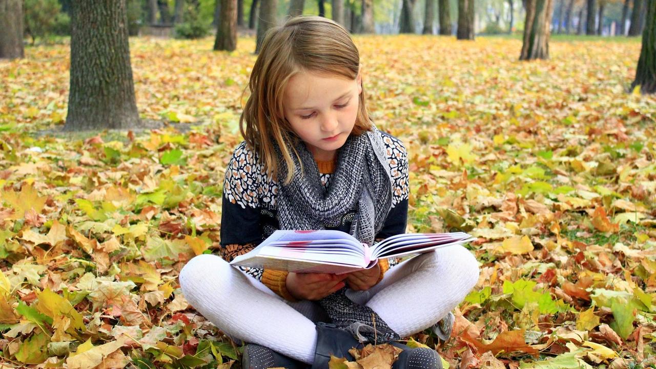 young girl reads a book in the autumn park ,model released, Symbolfoto ...</p>

                        <a href=