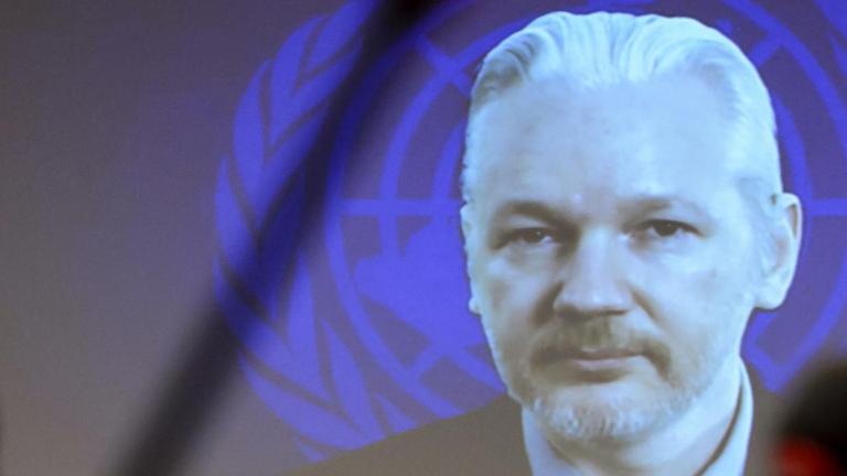 Julian Assange im Gespräch mit dem UN-Menschenrechtsrat. Assange wurde aus der ecuadorianischen Botschaft in London zugeschaltet.