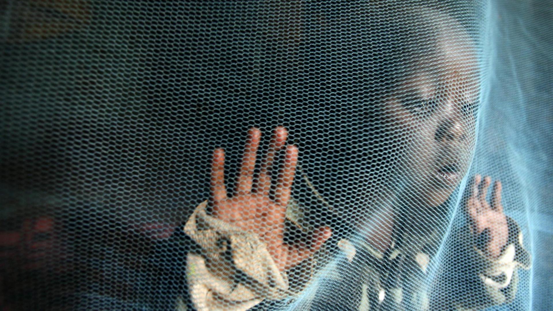 Die dreijährige Siama Marjan spielt in Nairobi (Kenia) hinter einem Moskitonetz, das sie vor dem Stich von Malaria-Mücken schützen soll (Archivfoto). Die dreijährige Siama Marjan spielt in Nairobi (Kenia) hinter einem Moskitonetz, das sie vor dem Stich von Malaria-Mücken schützen soll (Archivfoto).