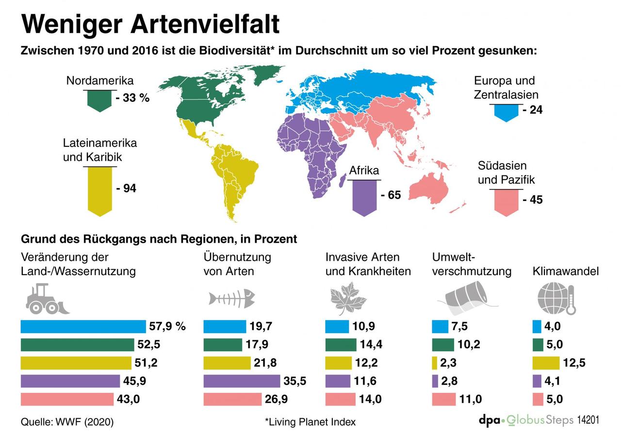 Infografik Weniger Artenvielfalt Infografik Weniger Artenvielfalt