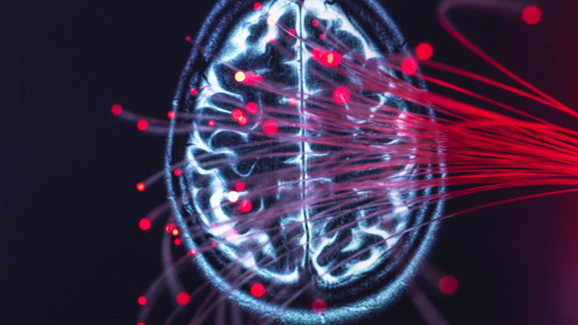 Darstellung des Gehirns und der Faseroptik, die Daten um das Gehirn herum überträgt Darstellung des Gehirns und der Faseroptik, die Daten um das Gehirn herum überträgt