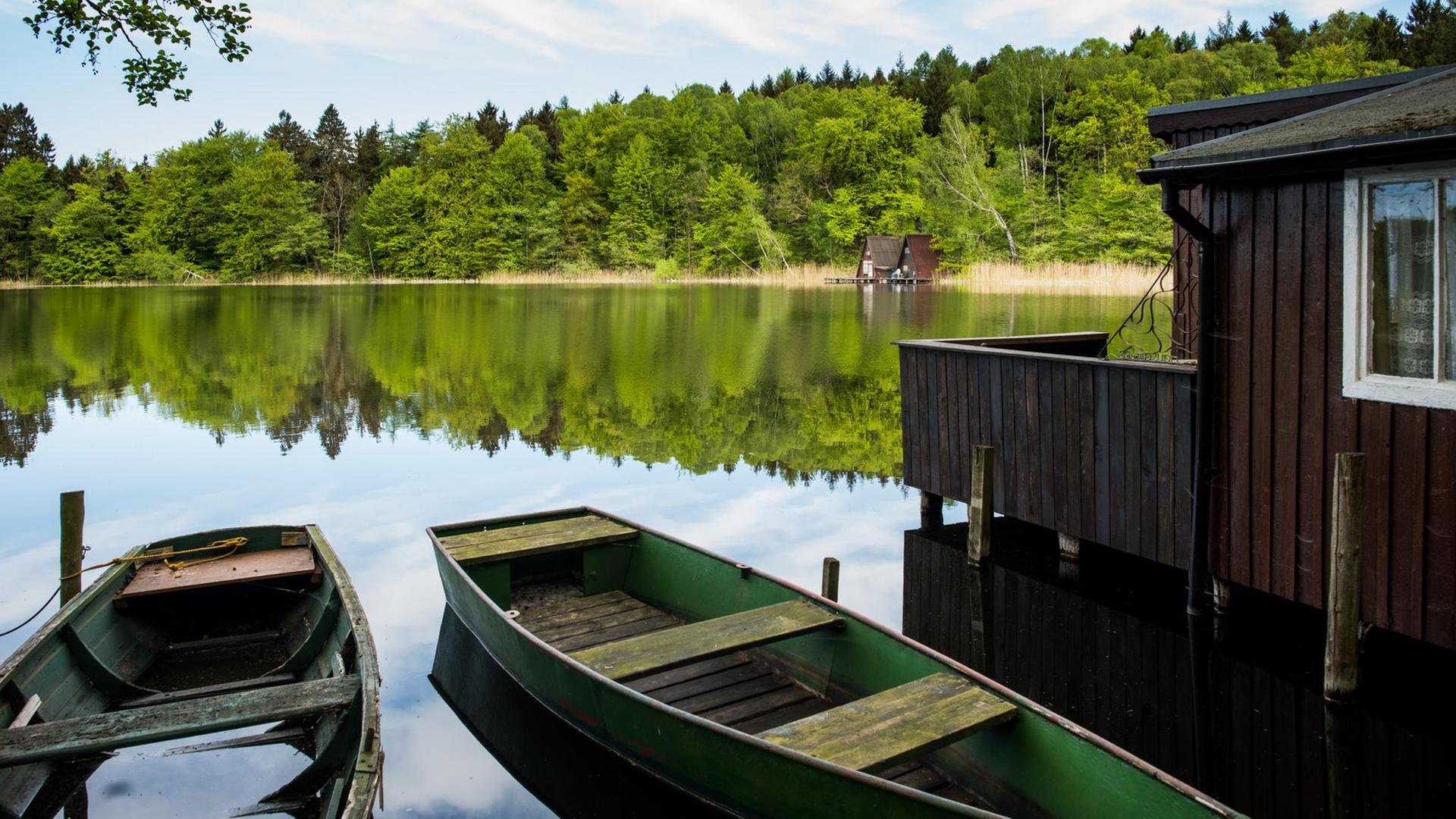 Ruderboote liegen am 06.05.2015 am Ufer des Proweskesees im Landkreis Uckermarke nahe dem kleinen Dorf Hohenwalde (Brandenburg). Ruderboote liegen am 06.05.2015 am Ufer des Proweskesees im Landkreis Uckermarke nahe dem kleinen Dorf Hohenwalde (Brandenburg).