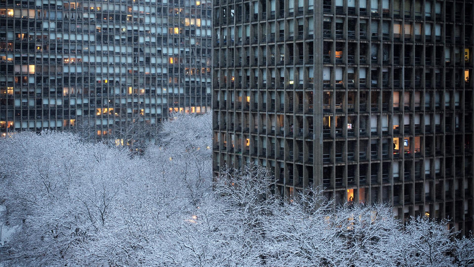 Wolkenkratzer in New York ragen aus verschneiten Bäumen hervor. Wolkenkratzer in New York ragen aus verschneiten Bäumen hervor.