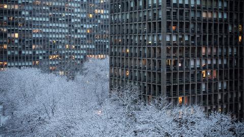Wolkenkratzer in New York ragen aus verschneiten Bäumen hervor.