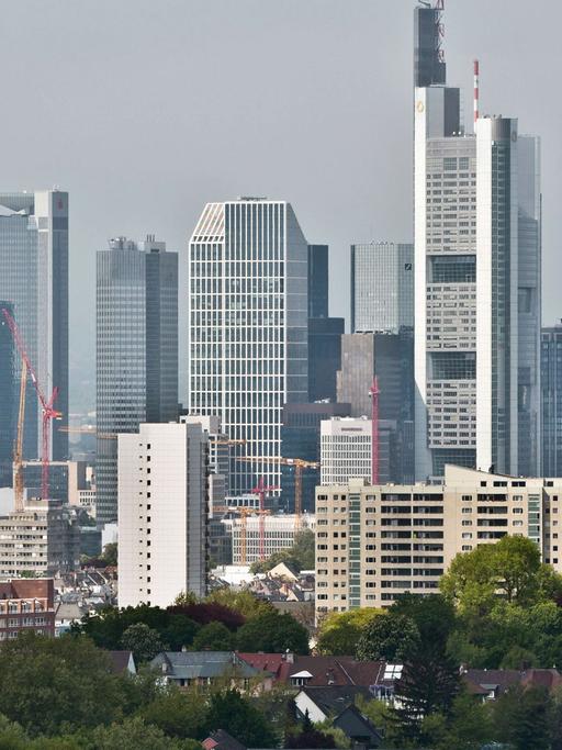 Die Hochhauskulisse der Bankenmetropole Frankfurt am Main ragt hinter dem Stadtteil Sachsenhausen hervor.