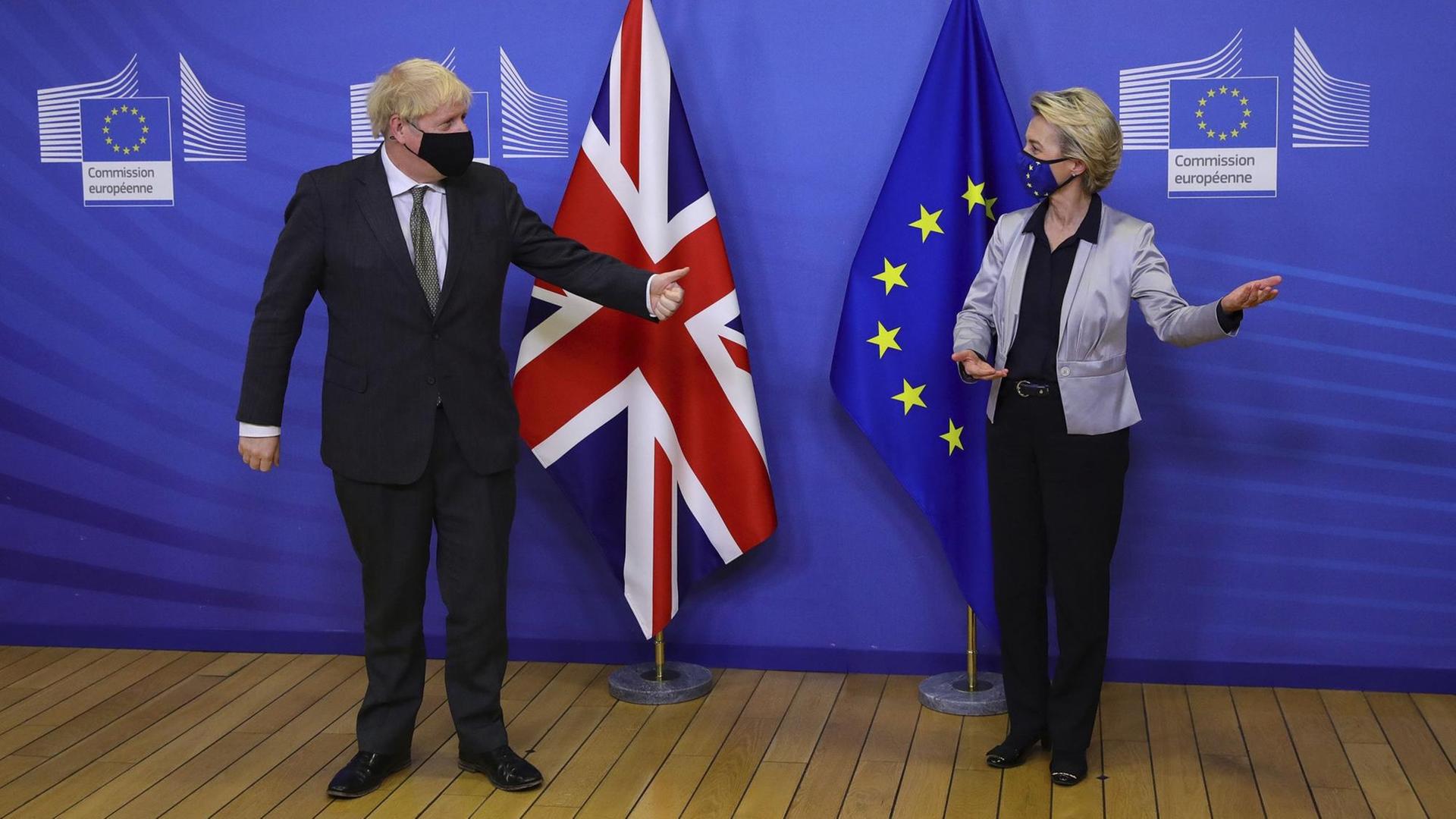 Der Regierungs-Chef von Groß-Britannien, Boris Johnson, steht vor der Flagge seines Landes. Neben ihm die Chefin von der EU-Kommission, Ursula von der Leyen, die vor der Flagge der EU steht. Beide Politiker tragen einen Mundschutz.