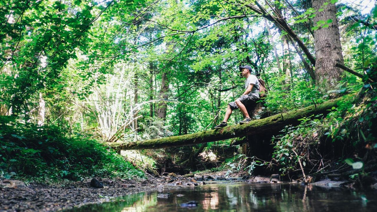 Ein Mann an einem Bach im Wald Ein Mann an einem Bach im Wald