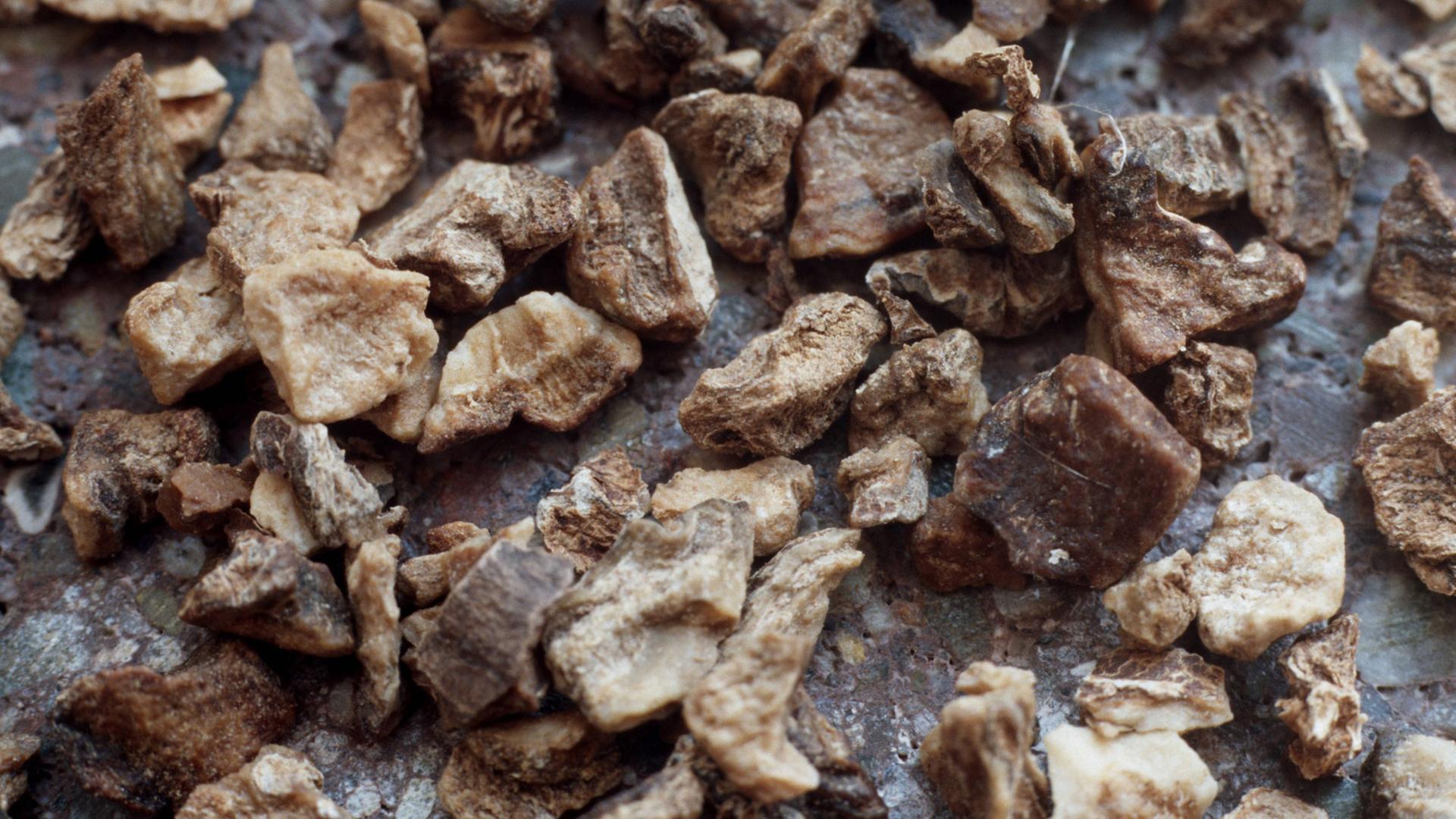 Afrikanische Teufelskralle als getrocknete Pflanzenteile Afrikanische Teufelskralle als getrocknete Pflanzenteile