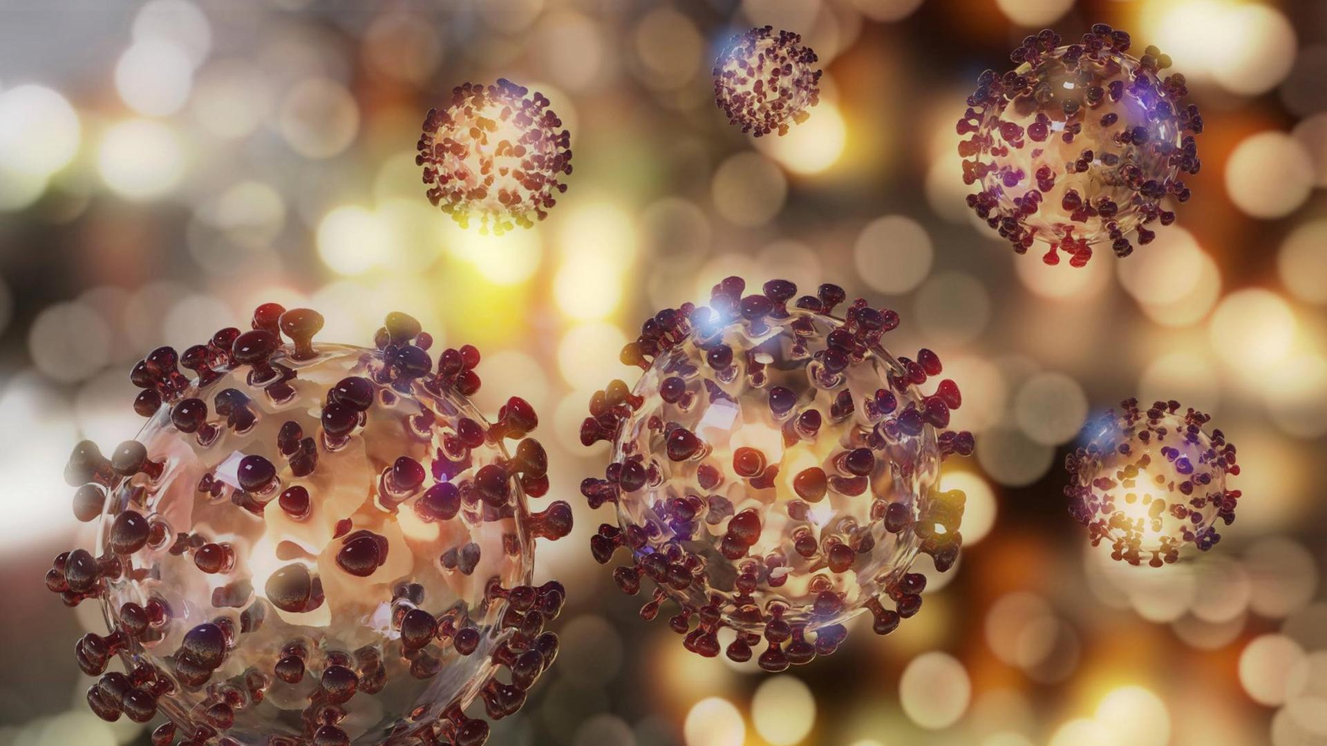 Eine Illustration des Coronavirus Eine Illustration des Coronavirus