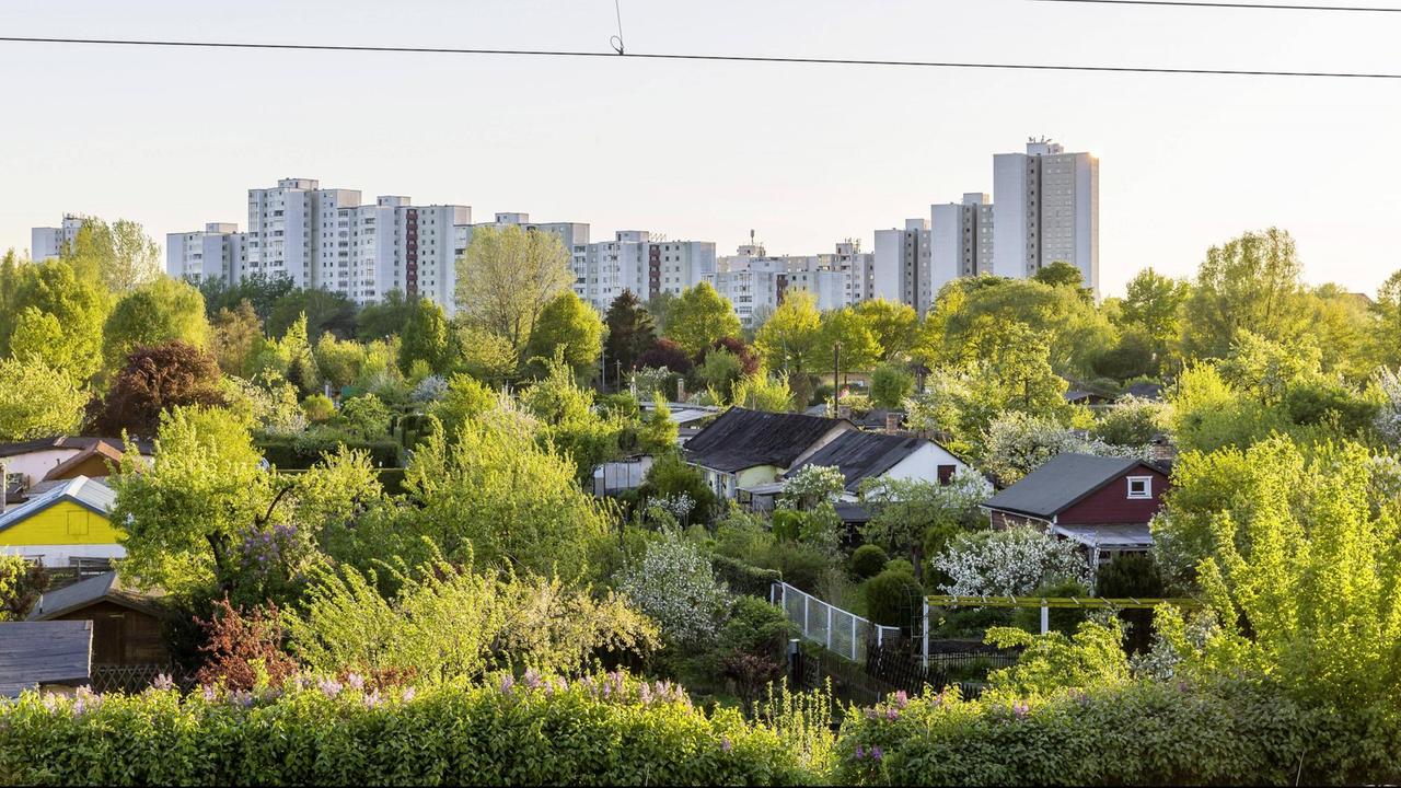 Blick auf die Kleingartenanlage am Plänterwald in Berlin, im Hintergrund ist ein Neubaugebiet zu sehen. Blick auf die Kleingartenanlage am Plänterwald in Berlin, im Hintergrund ist ein Neubaugebiet zu sehen.