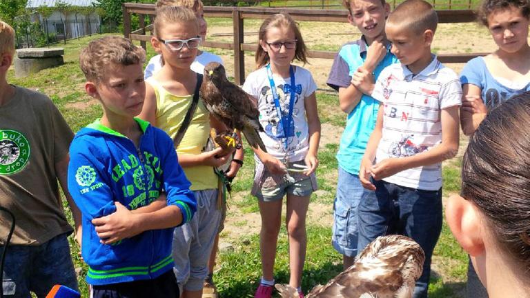 Unterricht mit Falken: In der Grundschule in Stiavnicke Bane lernen die Kinder den Umgang mit den Raubvögeln.