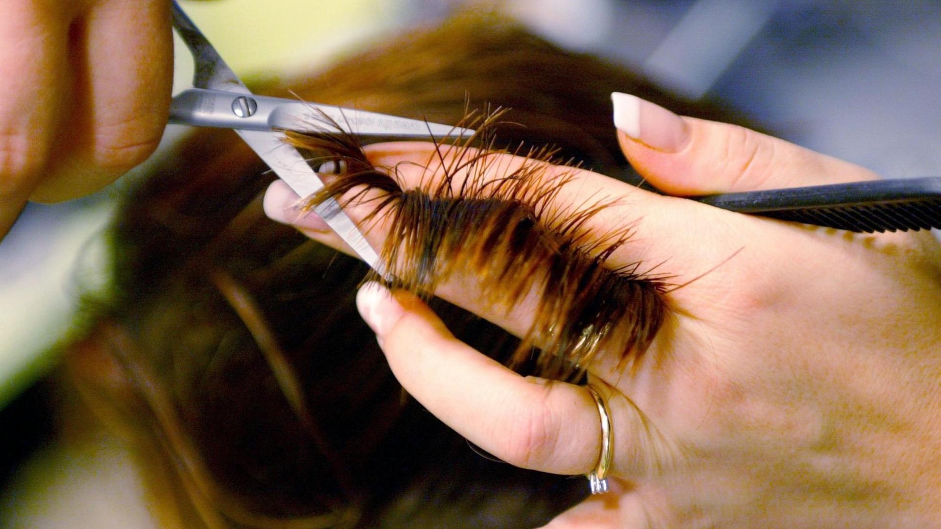 Einer jungen Frau werden in einem Friseursalon mit einer Schere die Haare geschnitten Einer jungen Frau werden in einem Friseursalon mit einer Schere die Haare geschnitten