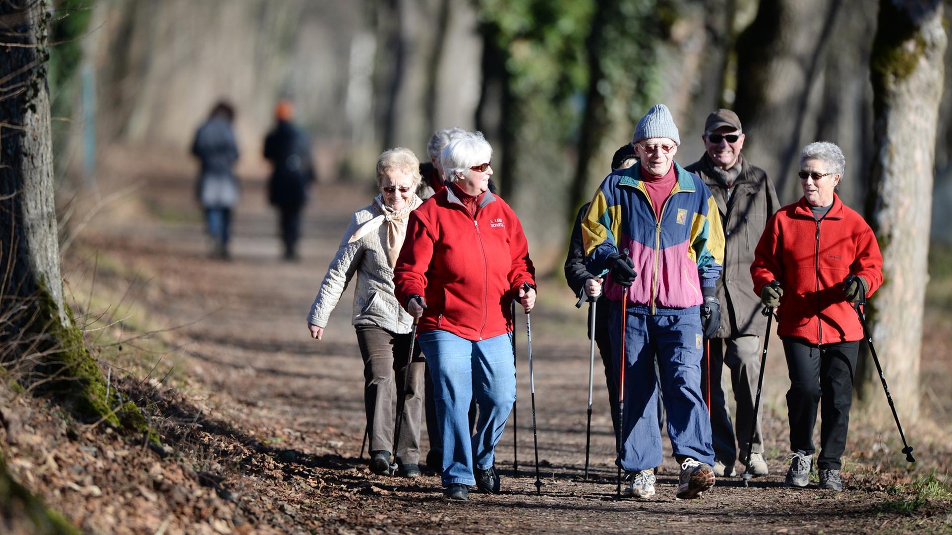 Eine Gruppe von Rentnern walkt mit Nordic-Walking-Stöcken auf einem Weg durch einen Wald.