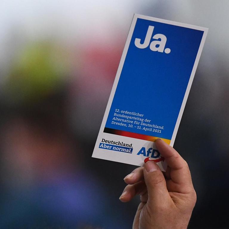 Die Delegierten zeigen in der Dresdener Messehalle beim Bundesparteitag der AfD in Dresden ihre Stimmkarten am 10.04.2021.