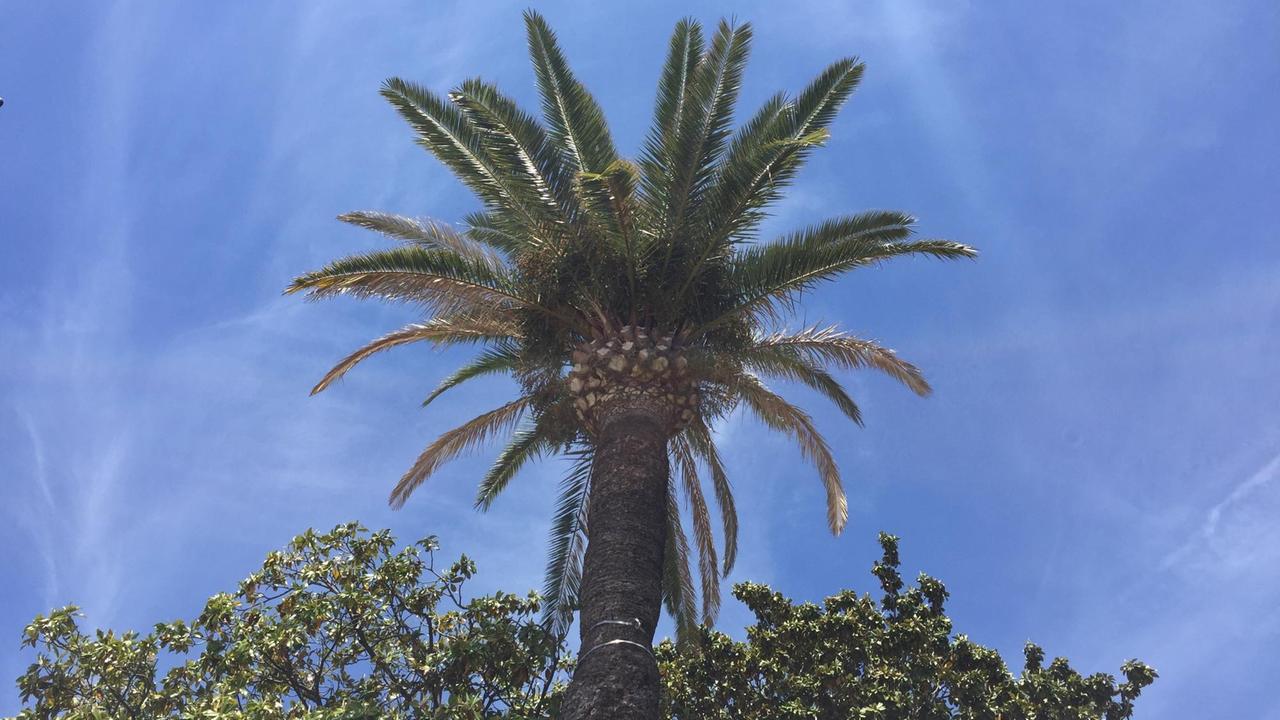 Der Himmel von Cannes Der Himmel von Cannes