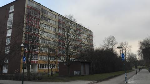 Malmö, Schweden, 2017.